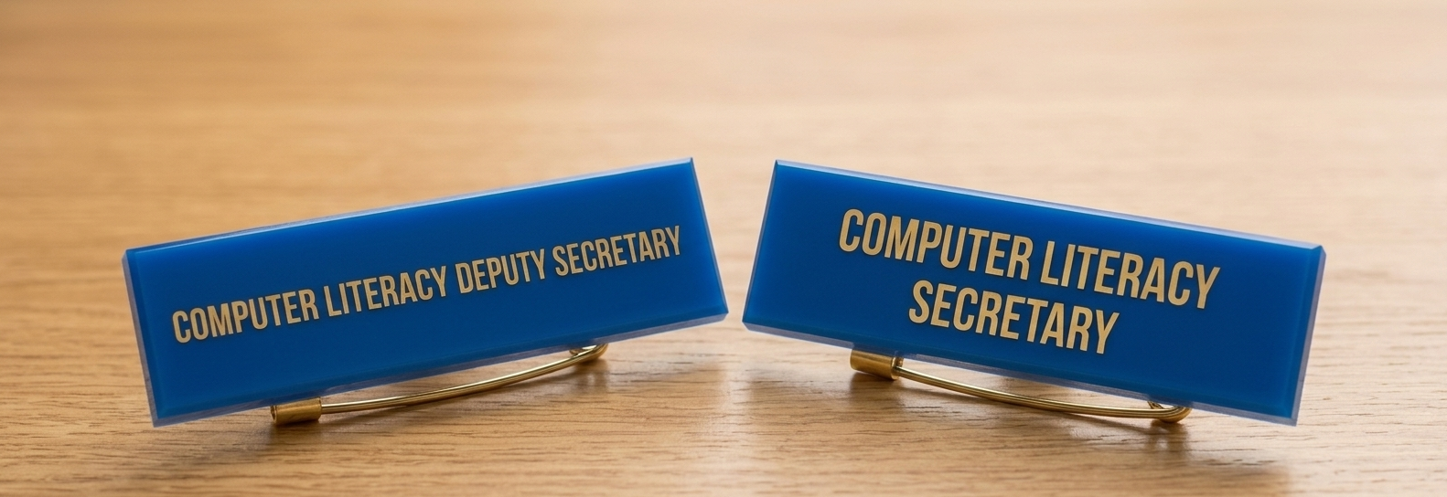 Computer Literacy Secretary
